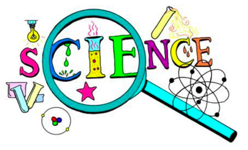 Science Rocks 